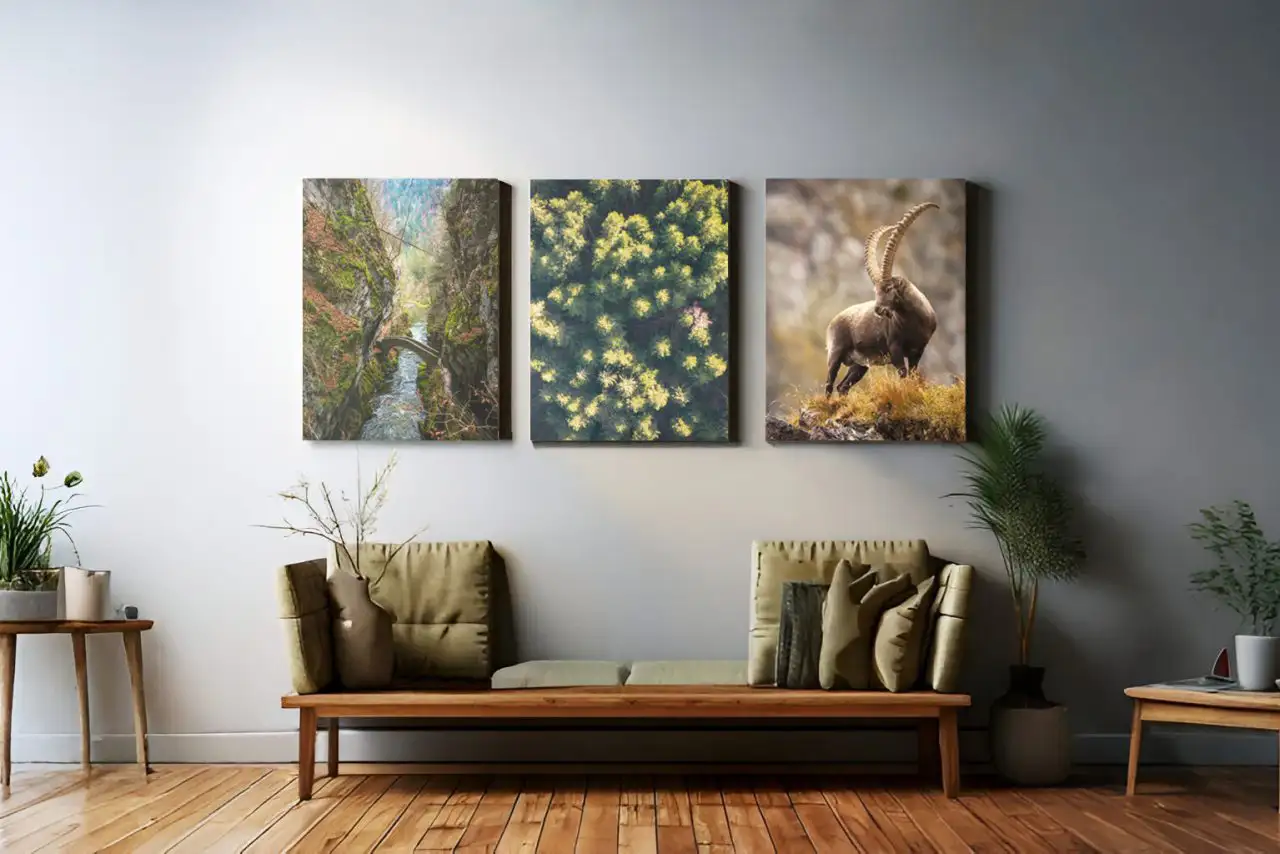 Prints & Photography Courses